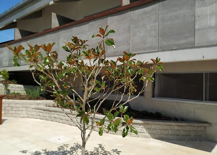 صورة ألديا دو ميكو Albergaria Da Tomasia