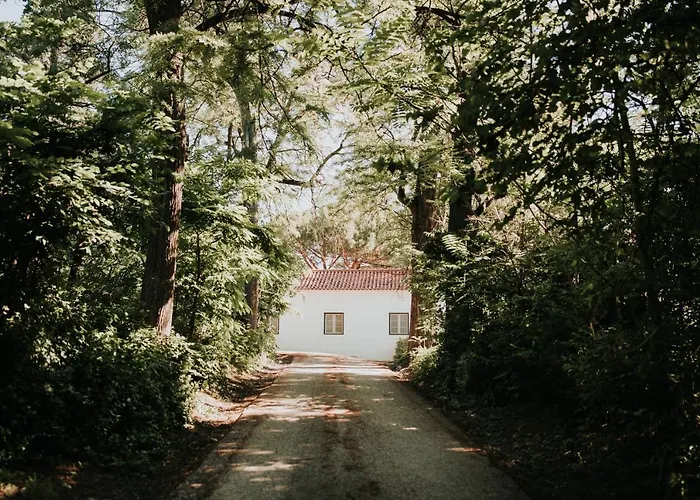 صورة Casa Dos Picates - Country House