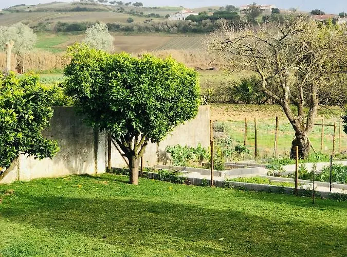 Varzea Nature 托里什韦德拉什照片