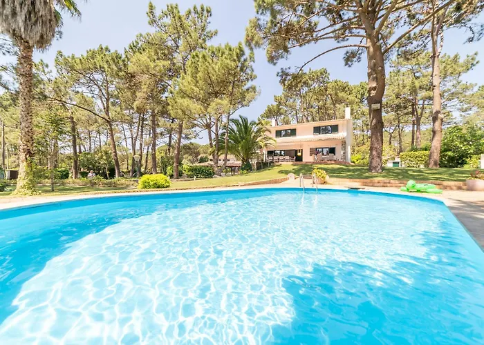 Photo de Villa Pine Nature Sao Martinho 