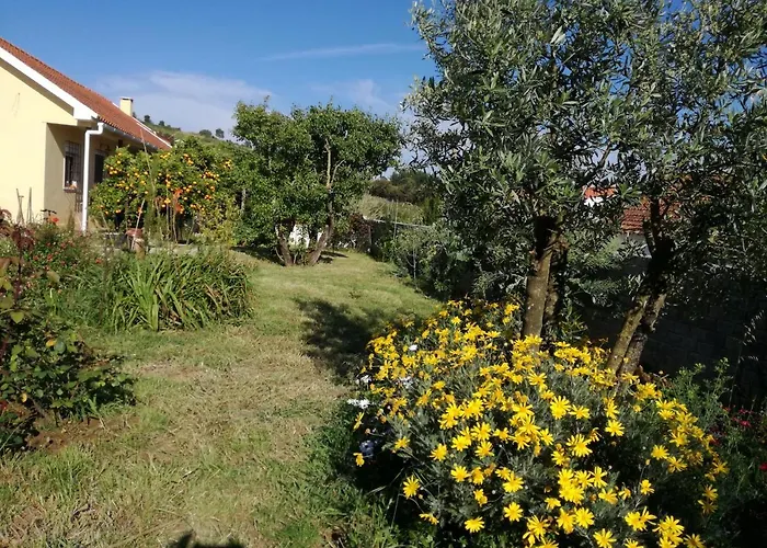 Casa Joao Do Vale Βίλα Delgada φωτογραφία